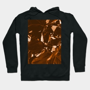 Photo of magnolia leaves in the sun, orange gradient Hoodie